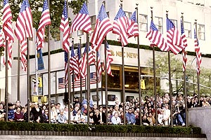 Onlooker's Flags